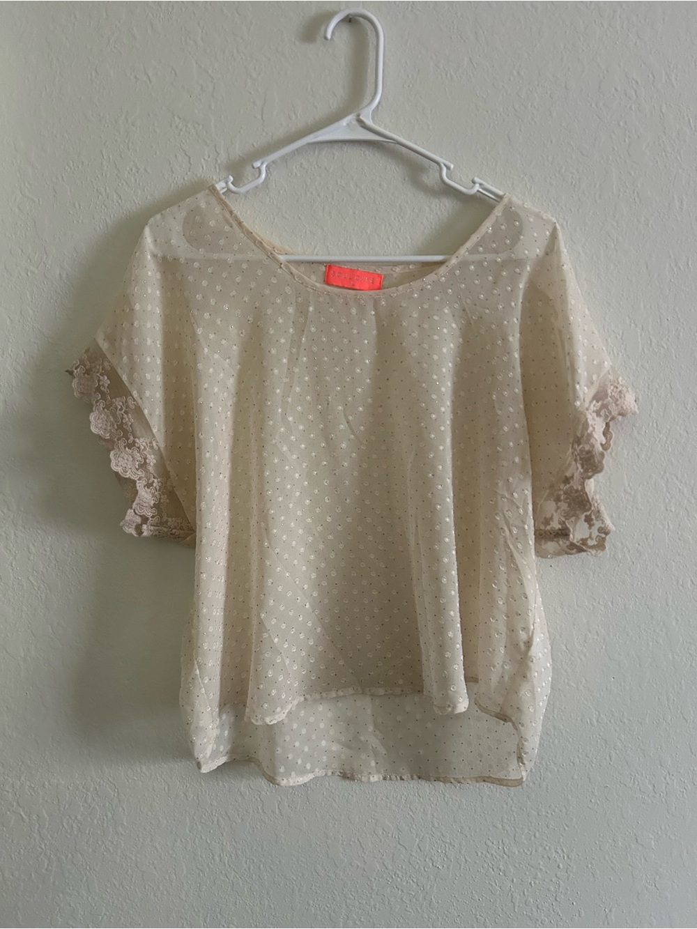 Sheer Dot Lace Sleeve Blouse